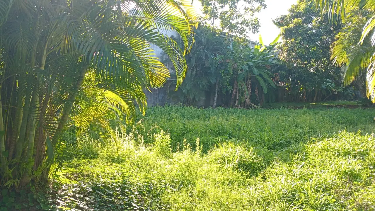 Sale / Dream Location in Jacó! 931 m² Lot Waiting for You - image 7