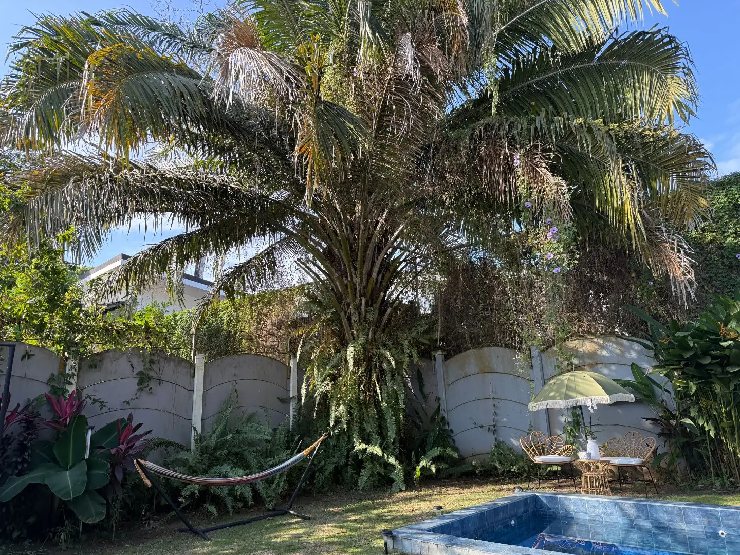 Prime Investment 4-Bedroom Jacó Beach Jacó  - image 2