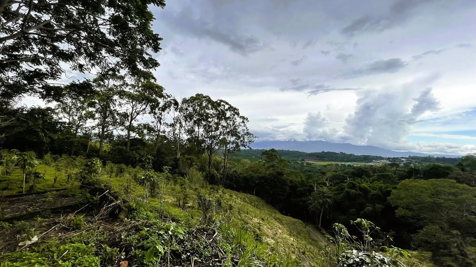 LAND WITH A HOUSE IN CARRIZAL, ALAJUELA - image 14