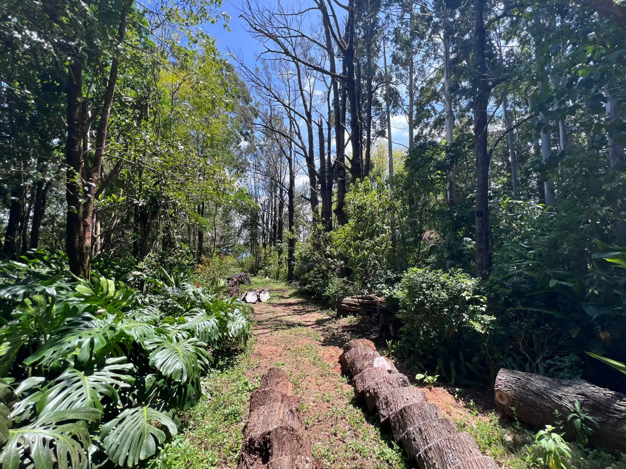 A Hidden Gem in the Heart of Nature | Land in San Rafael de Heredia - image 6