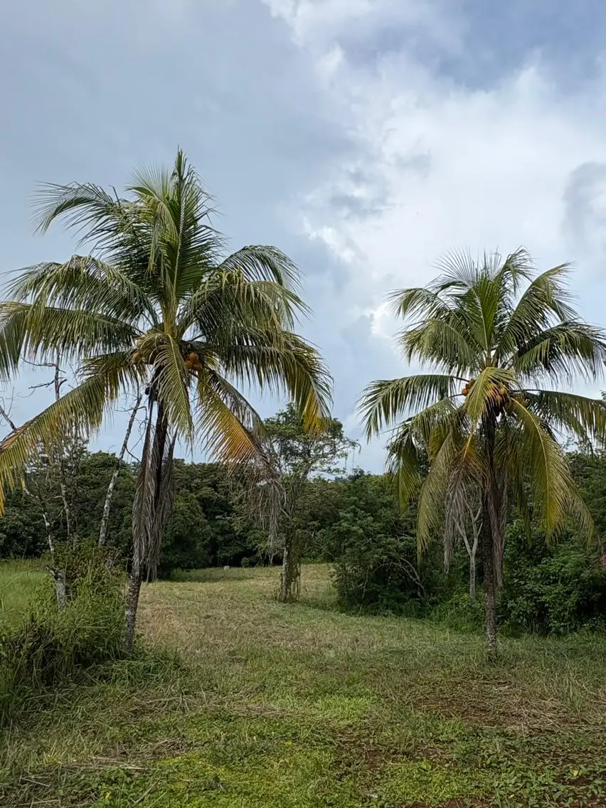 6,179 m² mixed-use land  in Delicias, minutes from  Montezuma and Santa Teresa - image 10