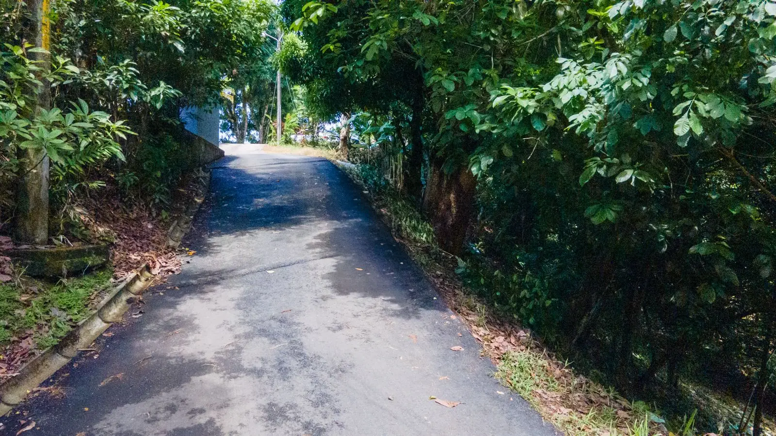 Beautiful lot of land in Playa Jaco - image 4