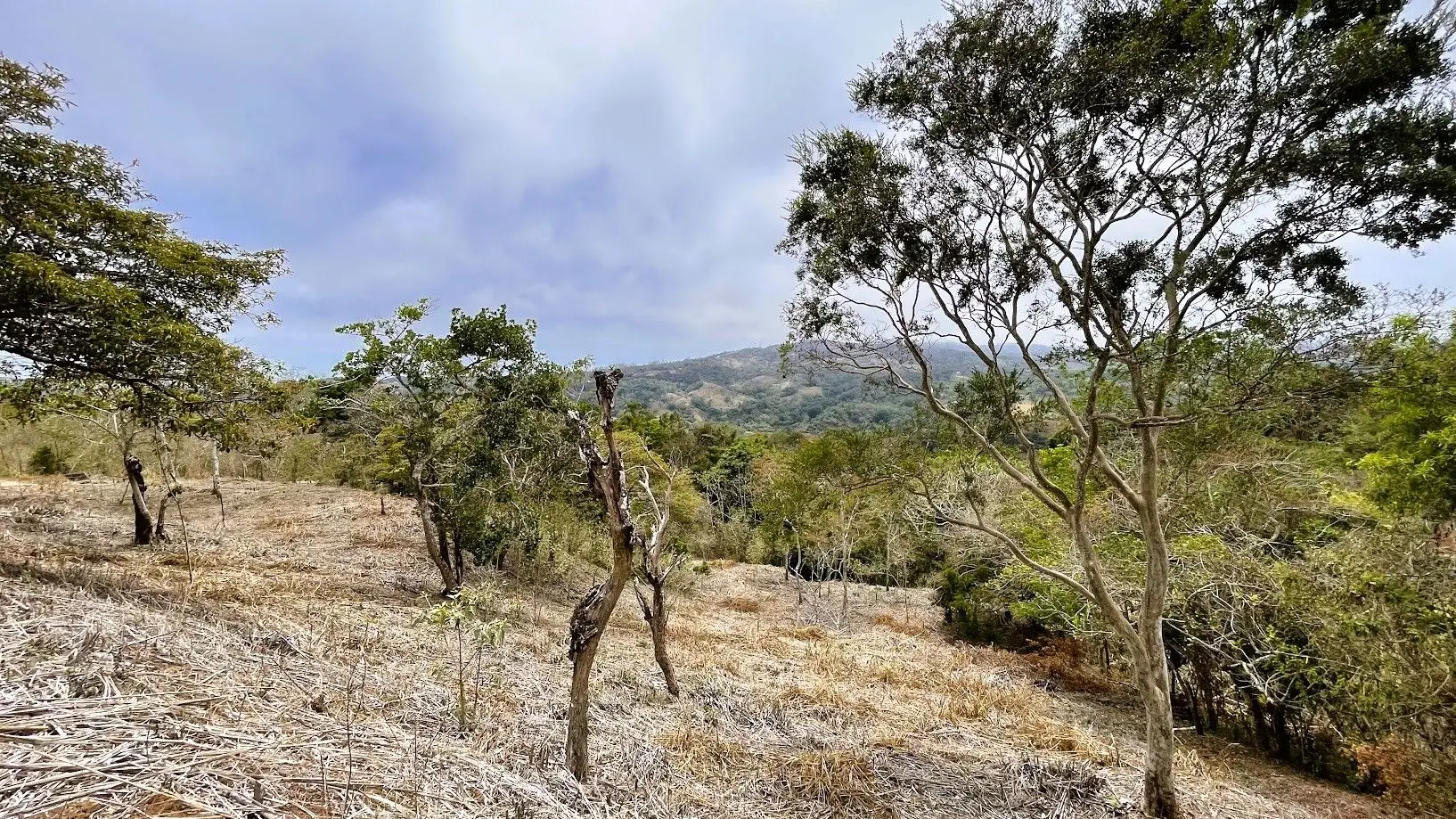 LOT FOR SALE - SAN PEDRO, SAN RAMON  - image 12