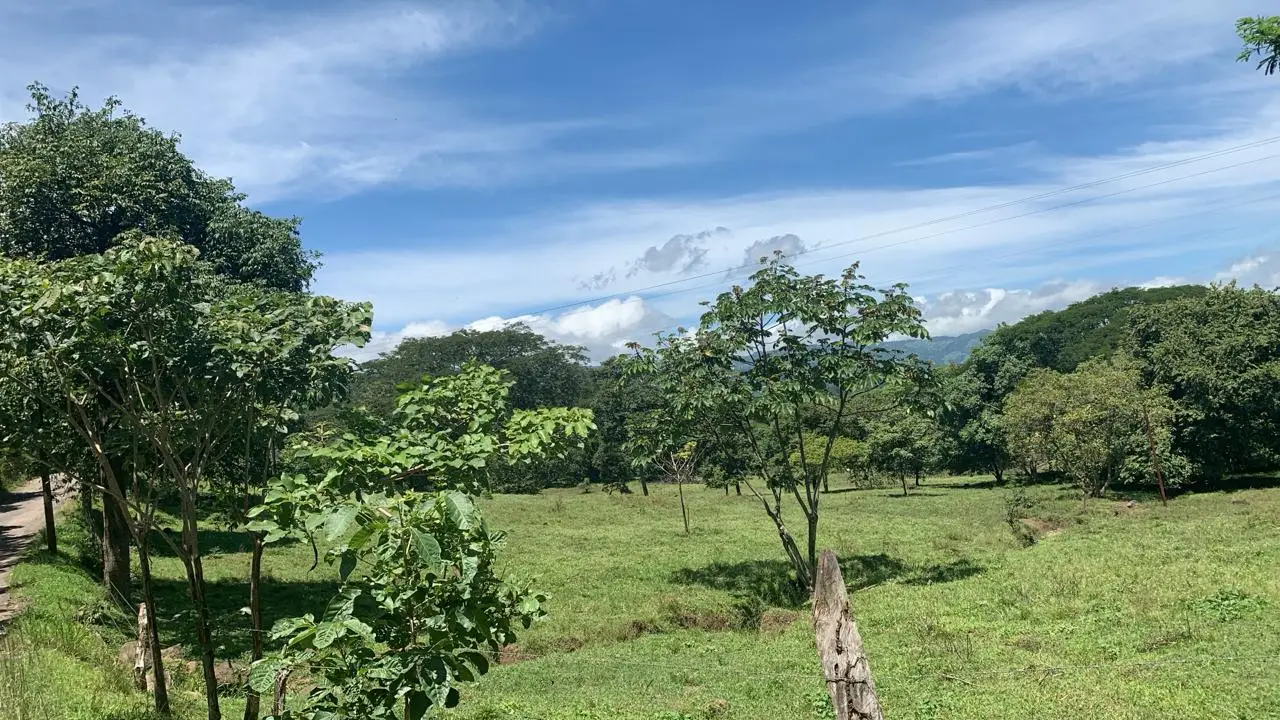 Expansive 2.77 Hectare Quinta in Scenic Turrúcares, Alajuela, Costa Rica - image 5