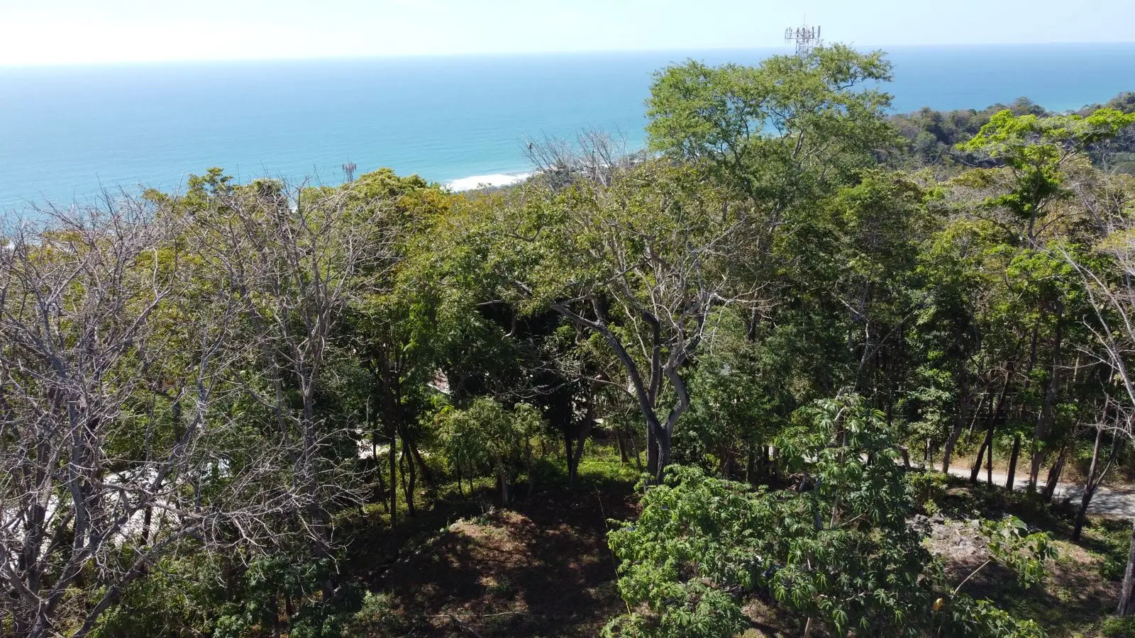 Exclusive 1260 m² Development Lot in Santa Teresa – Prime Location on Calle Buenos Aires - image 4