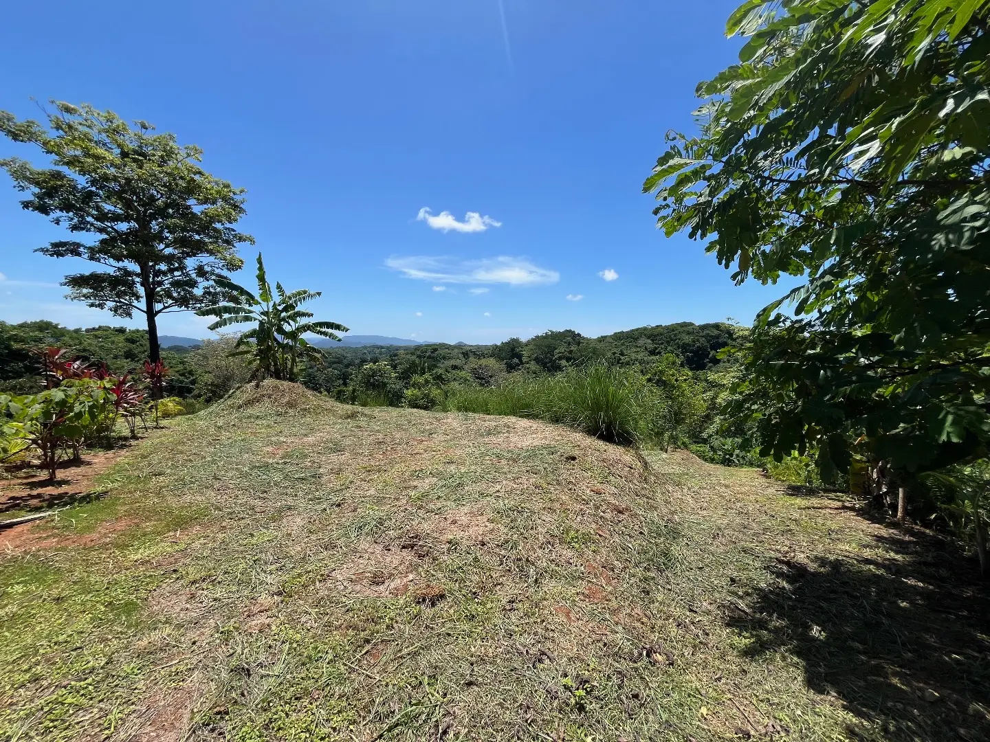 Lot with three building sites minutes to Hermosa in quiet neighborhood  - image 3