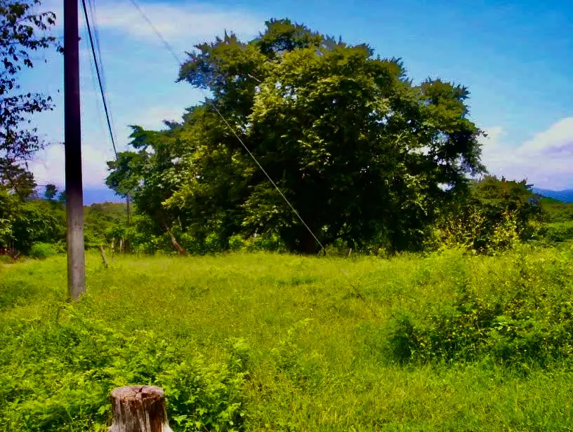 2,027 m² Ocean-View Lot in Guacalillo - image 10