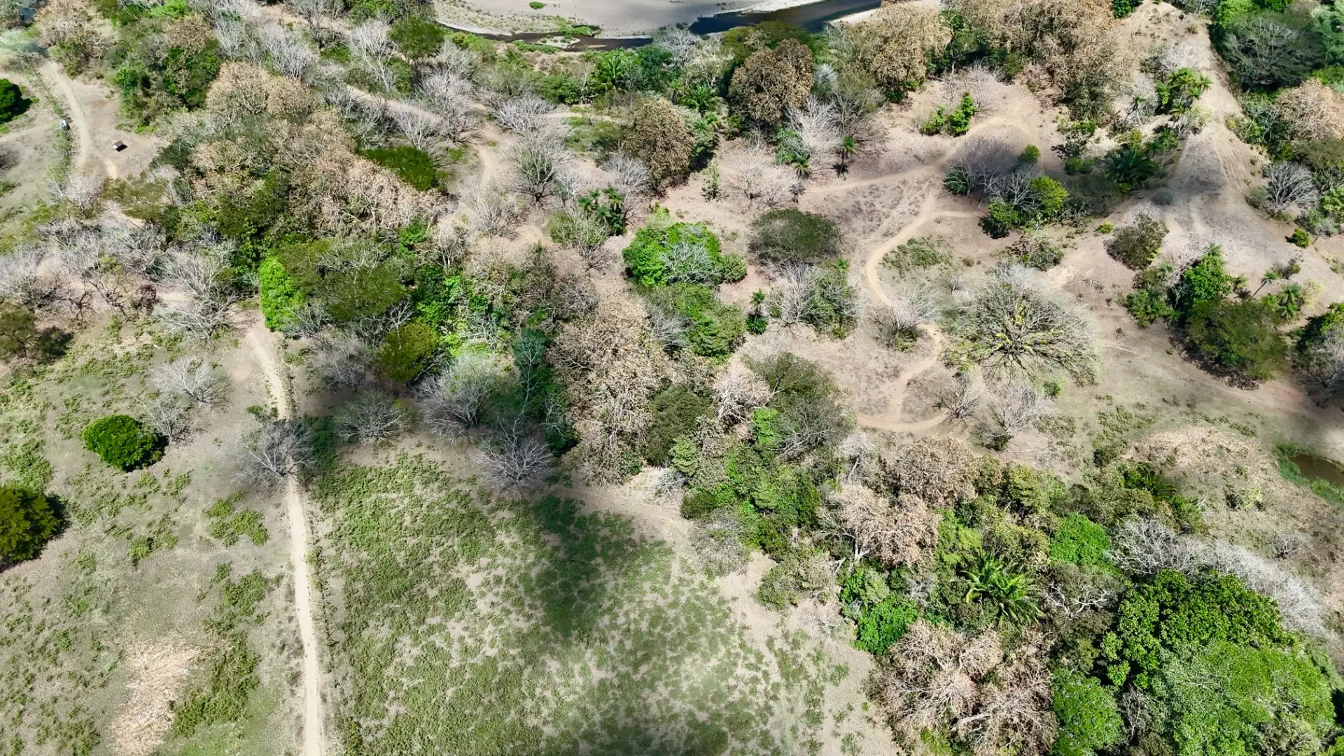 Central Pacific Oceanfront Resort Development Site | 111.9 Acres - image 14