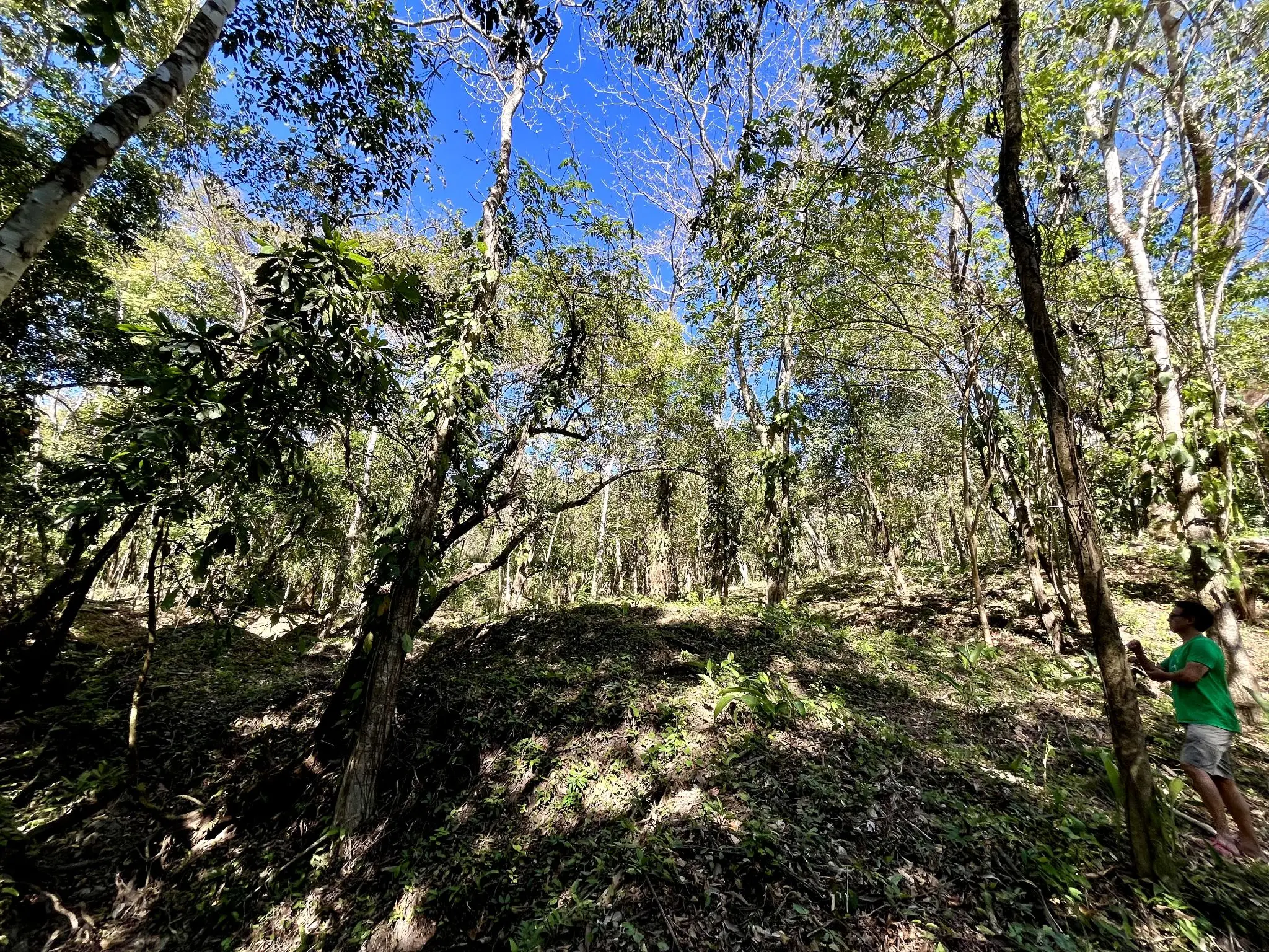 Invest in Nature: Private 5,000 m² Jungle Lots In Mal Pais Minutes from the Beach - image 2