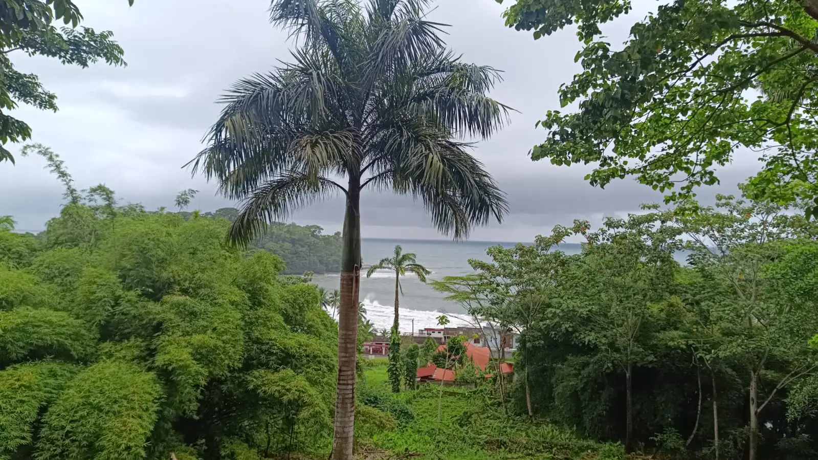 BEACHFRONT INVESTMENT OPPORTUNITY IN MATAMA , LIMON , COSTA RICA. - image 2