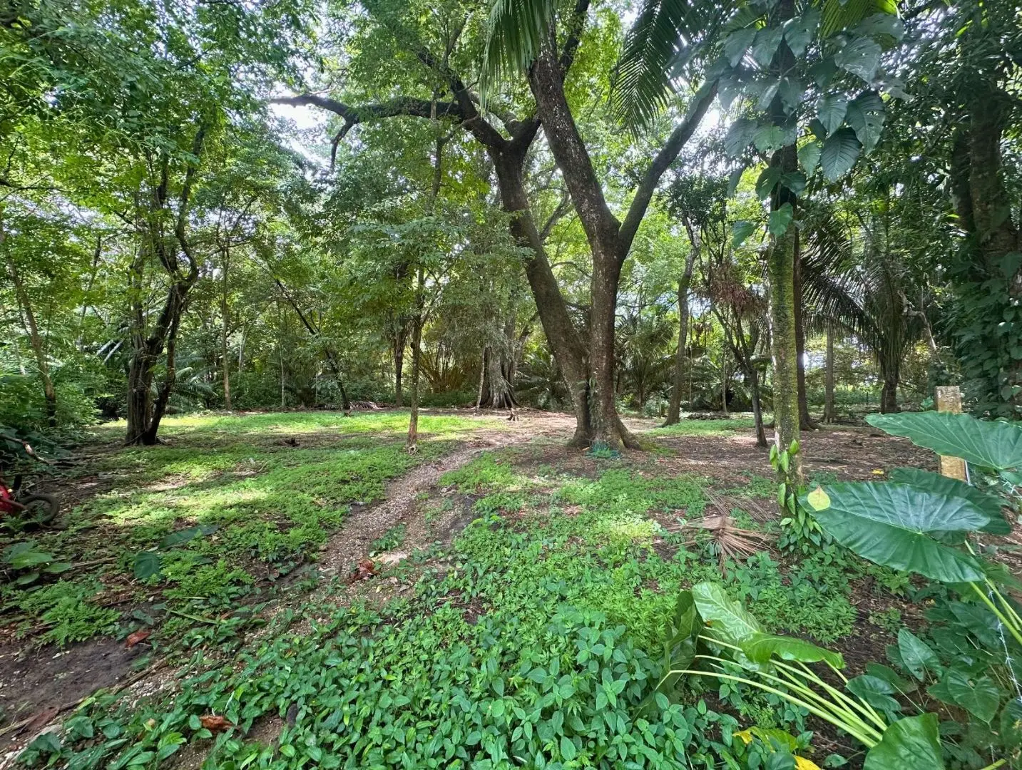 Exclusive Beach property in Playa Hermosa, Costa Rica – ready for a luxury villa or boutique hotel, with direct beach access and permits in place. - image 11