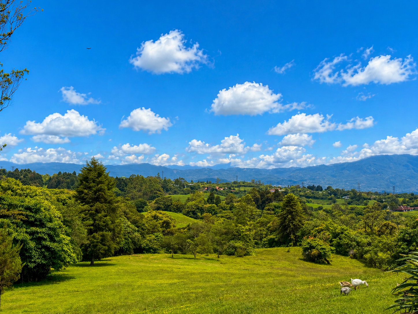 SALE / Coronado Mountain Sanctuary - image 3