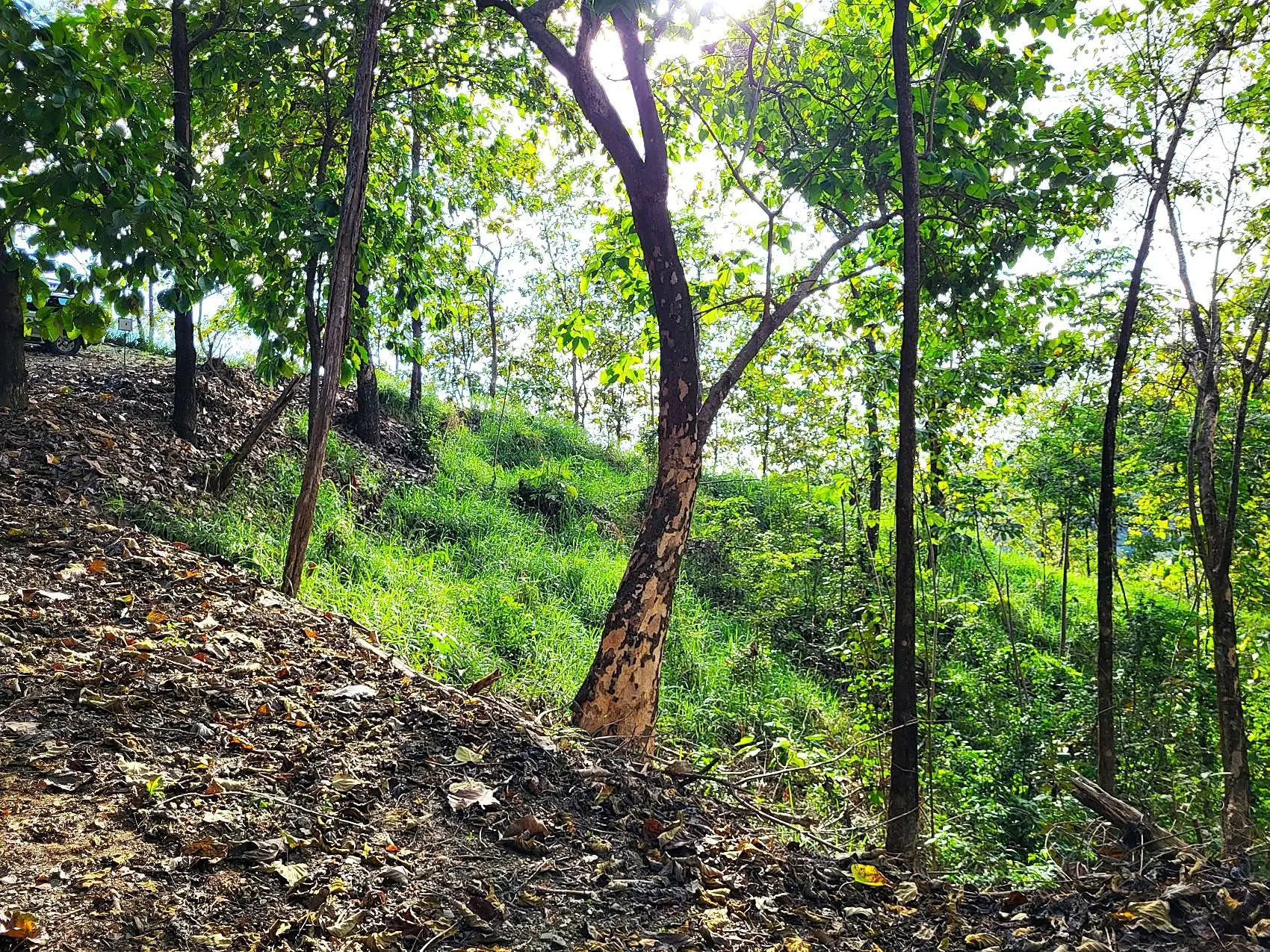 Mountaintop Ocean View Lot in Private, Gated Community Overlooking Tambor - image 13