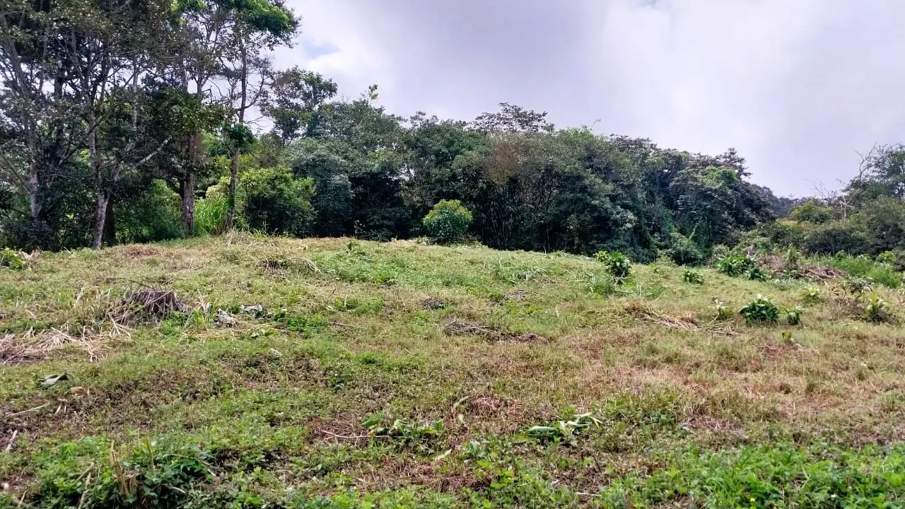 OCEAN VIEW LOT FOR SALE IN SANTIAGO, SAN RAMON - image 15