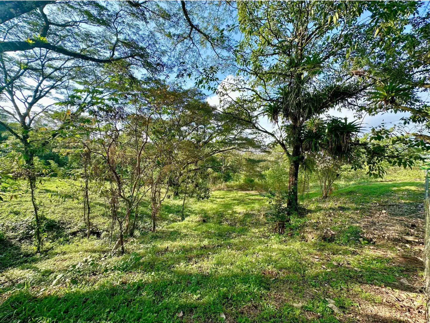 Tropical Home for Sale under $ 400k in Costa Rica Move in Ready-Long Term Rental Option - image 4