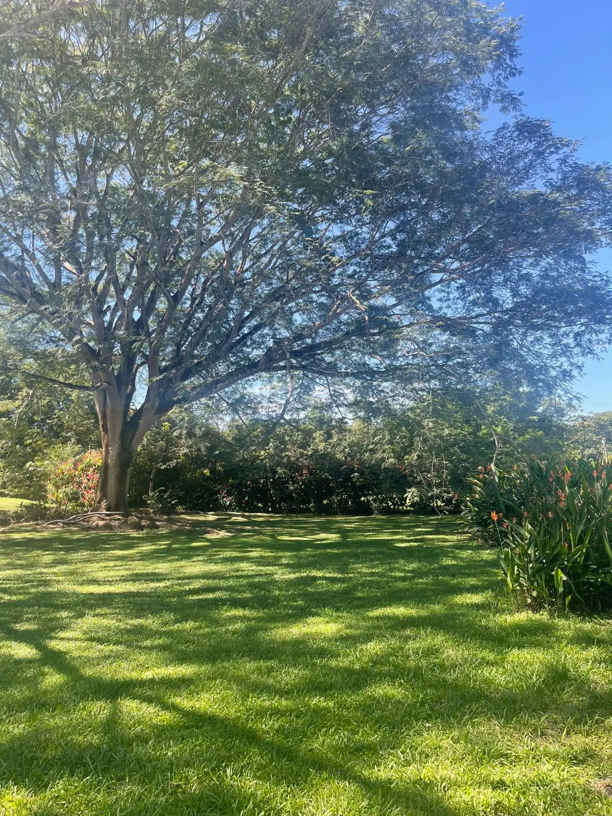 A hidden paradise in Orotina: 4,919 m² to create the life you dream of - image 7