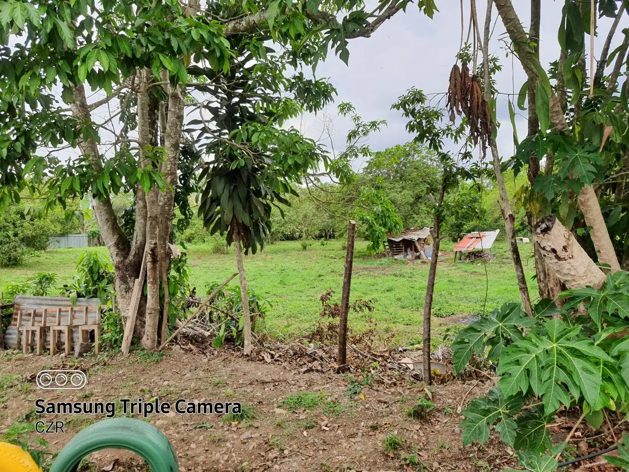 Prime Land for Sale in Palmares, Pérez Zeledón - image 5