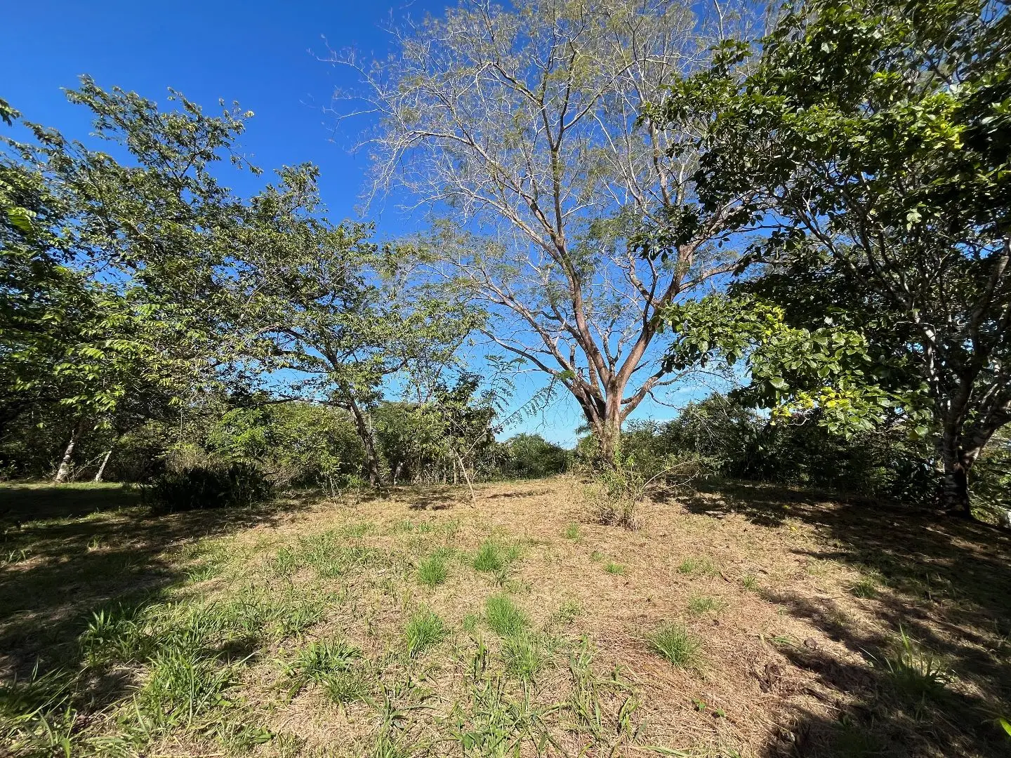 4000m2 Lot with parcial ocean views  in Delicias close to Montezuma and 20 min from Santa Teresa Ready to Build - image 10