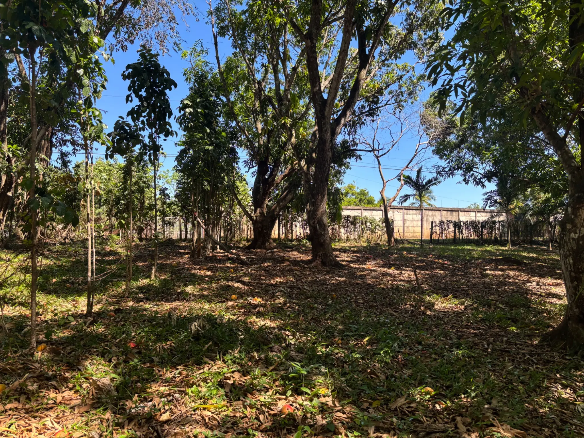 Sale / Very Nice Lot, El Mastate, Orotina, Alajuela - image 6