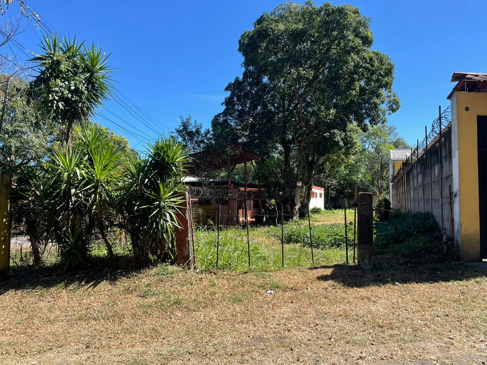 For Sale: large lot in Ciudad Colon  - image 14