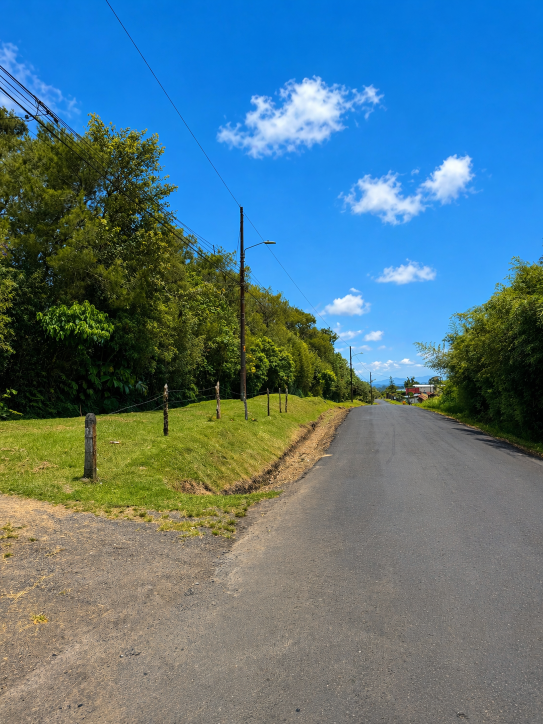 SALE / Coronado Mountain Sanctuary - image 5
