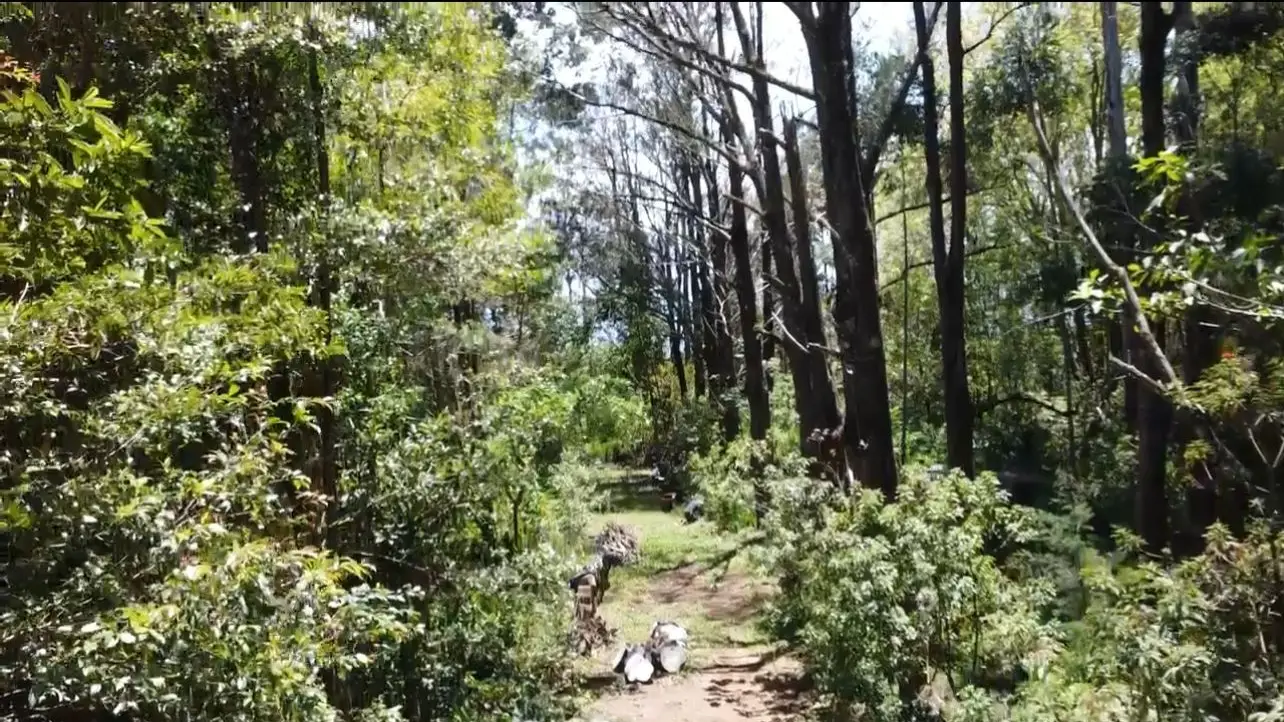 A Hidden Gem in the Heart of Nature | Land in San Rafael de Heredia - image 3