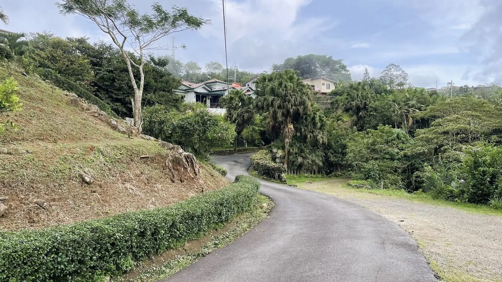 OCEAN VIEW LOT FOR SALE IN SANTIAGO, SAN RAMON - image 8