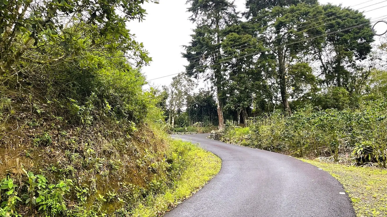 OCEAN VIEW LOT FOR SALE IN SANTIAGO, SAN RAMON - image 2