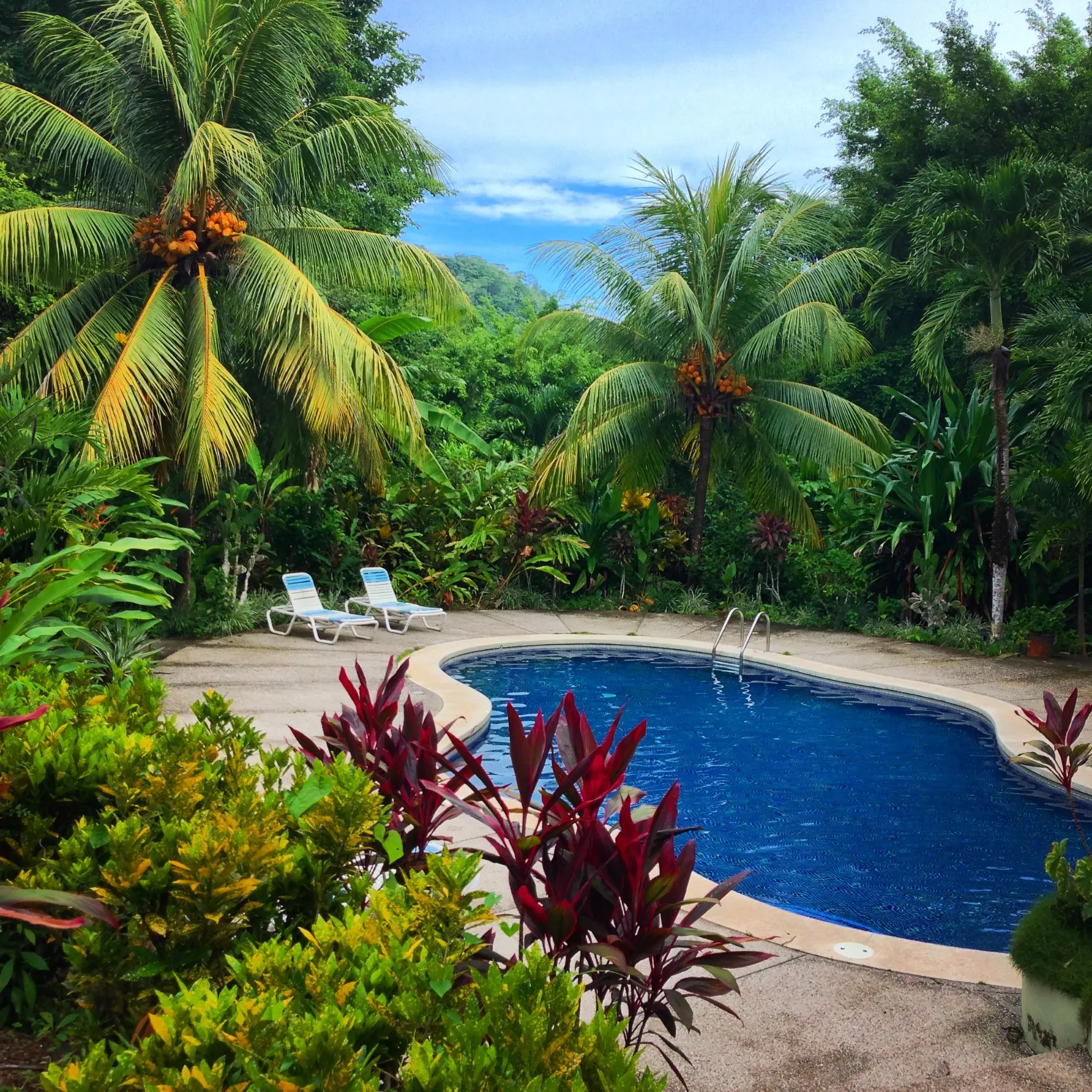 Nearly 90 Hectares of Untouched Jungle Beauty with Stunning Ocean Views, Steps from the Beach in Costa Rica’s Blue Zone. - image 3