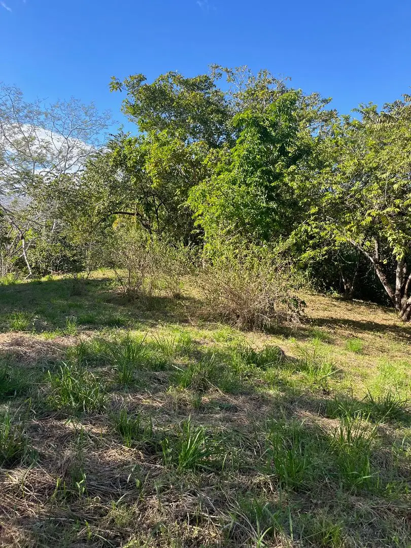 4000m2 Lot with parcial ocean views  in Delicias close to Montezuma and 20 min from Santa Teresa Ready to Build - image 8