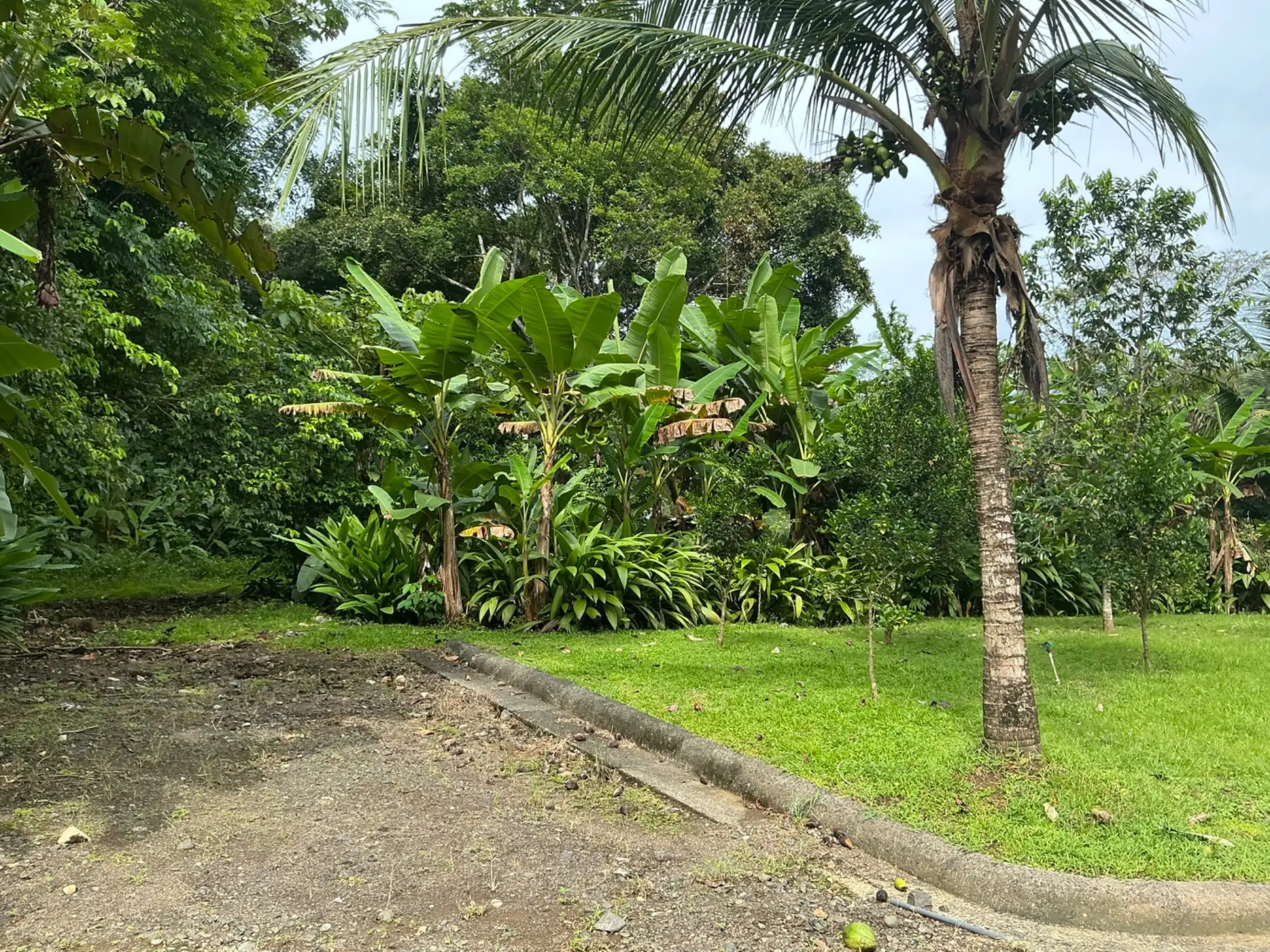  Lot for Sale in Plantation Acres - image 5