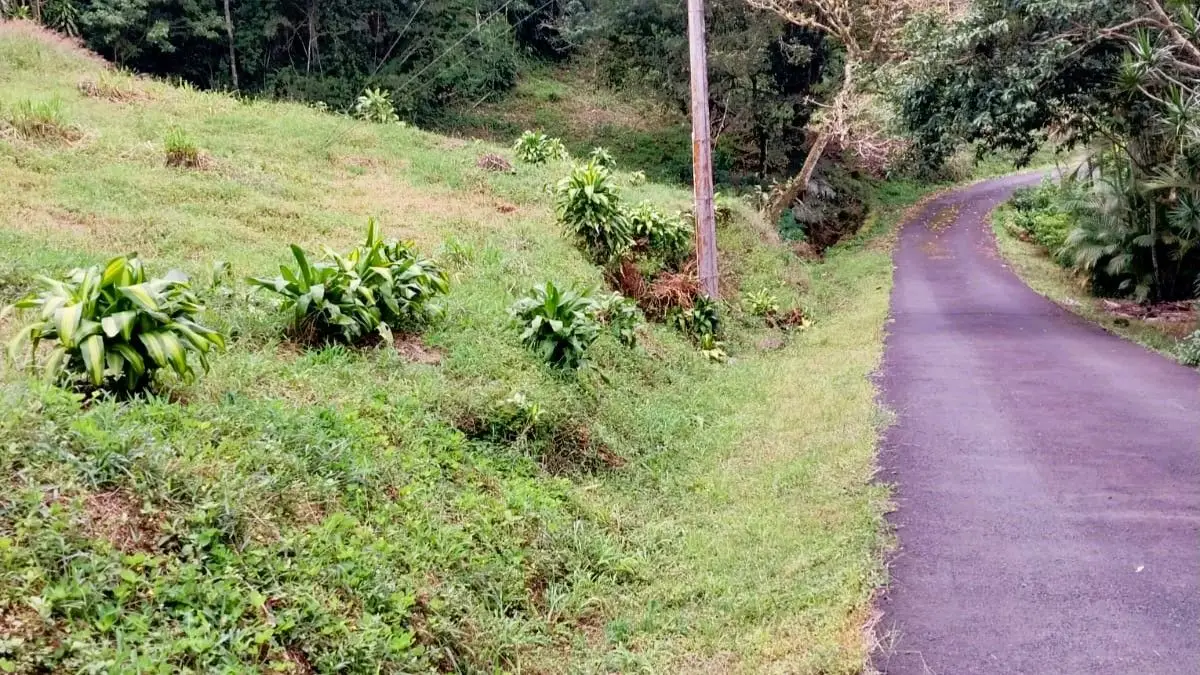 OCEAN VIEW LOT FOR SALE IN SANTIAGO, SAN RAMON - image 14