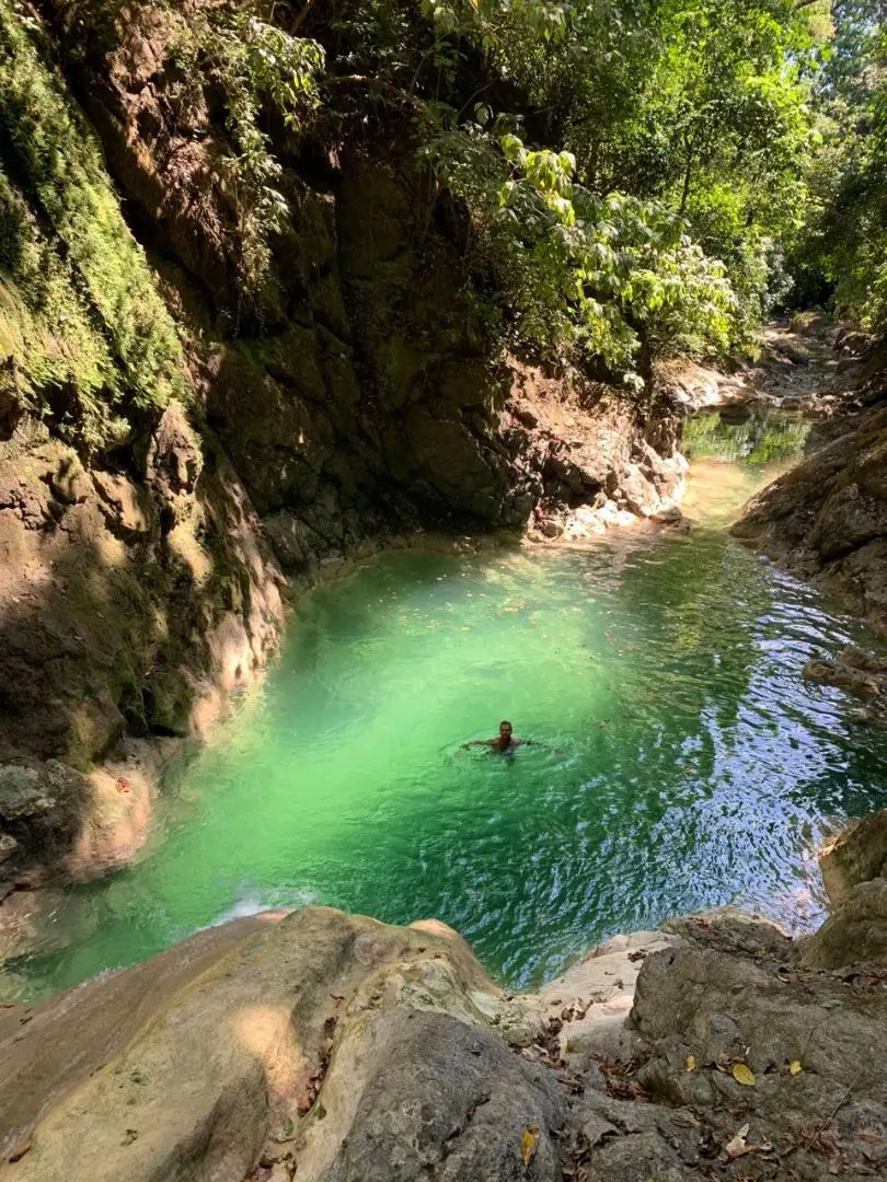 Ocean & Mountain View Property Near Santa Teresa with Impressive Building Platform Surrounded by Jungle - image 4