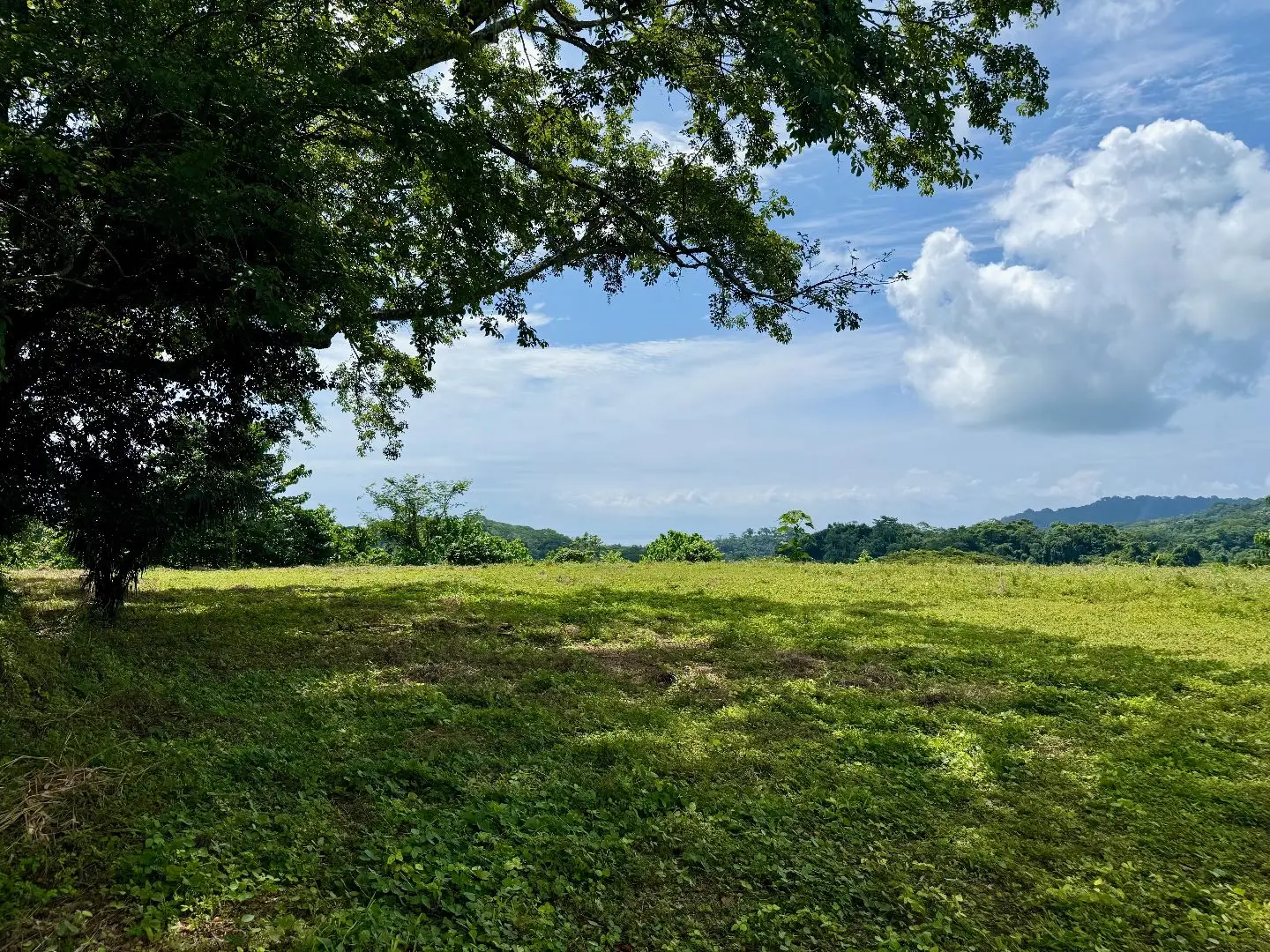 Ocean & Mountain View Property Near Santa Teresa with Impressive Building Platform Surrounded by Jungle - image 3
