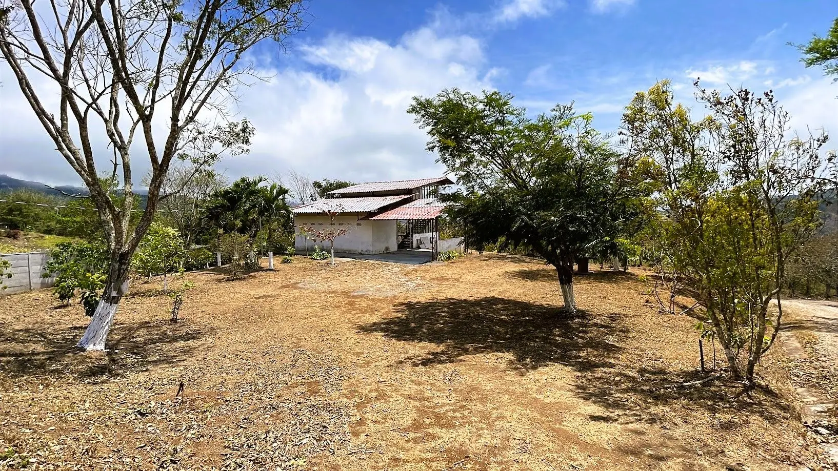 LOT FOR SALE IN SAN PEDRO, SAN RAMON - image 9