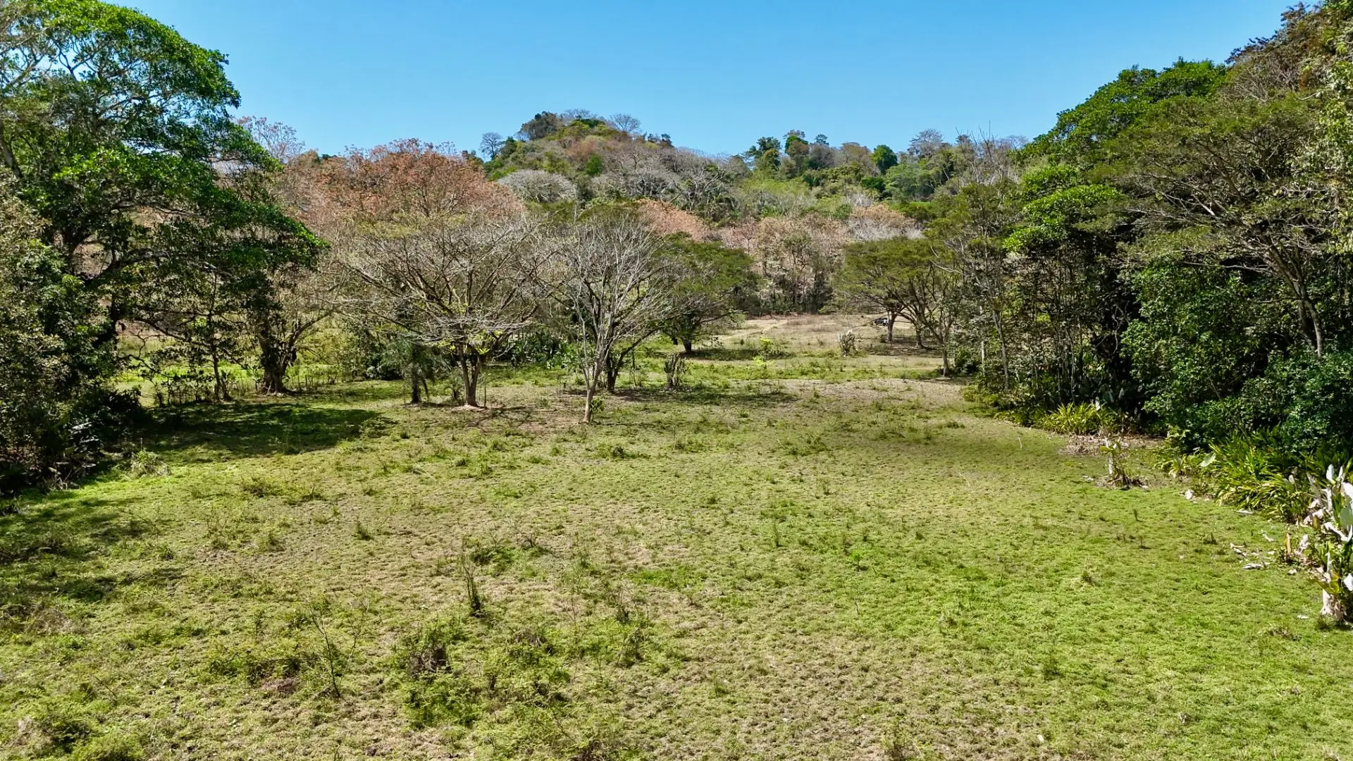 Central Pacific Oceanfront Resort Development Site | 111.9 Acres - image 11