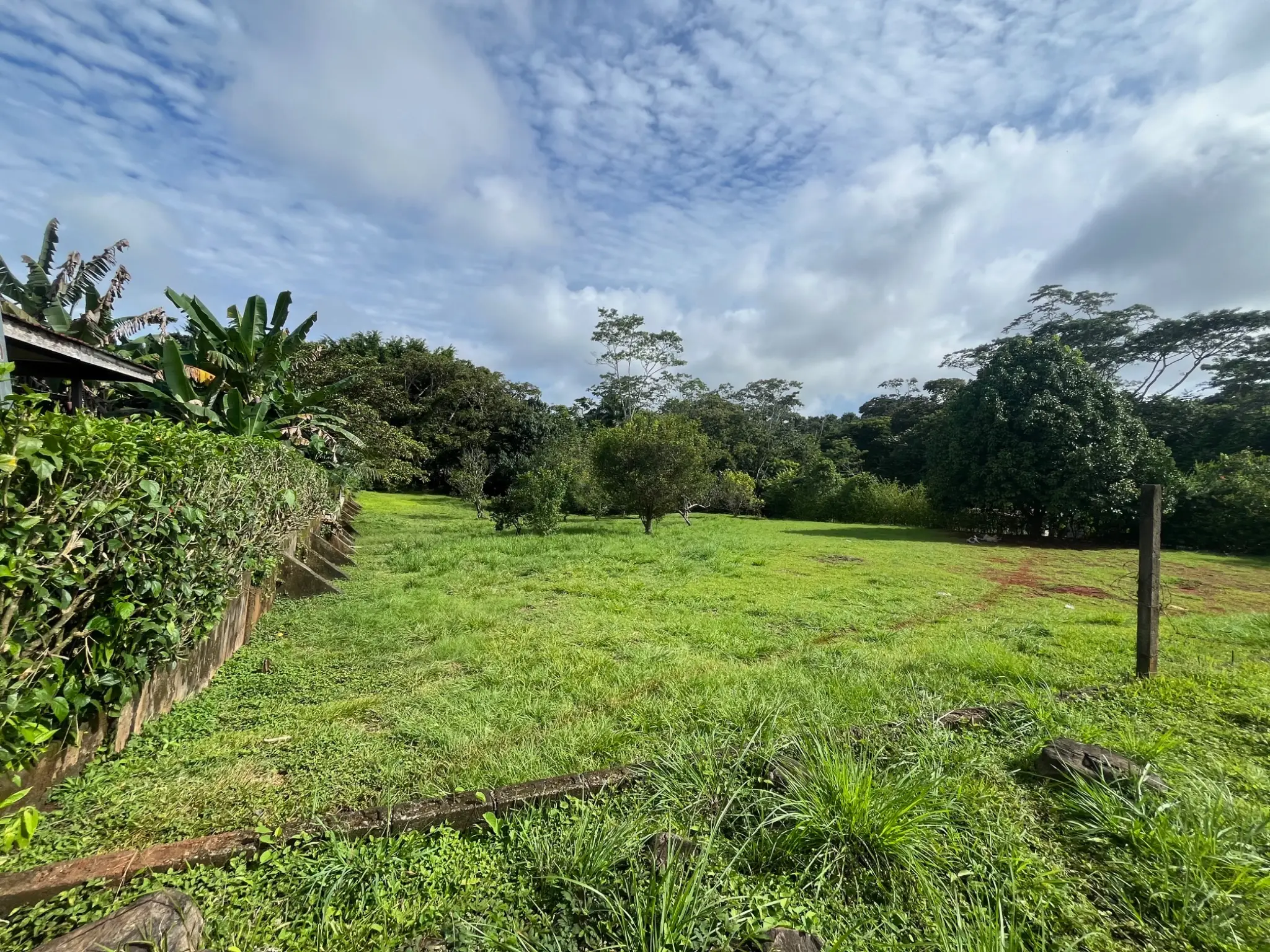 Spacious 2,600 m2 Lot with Fruit Trees near Santa Teresa - Ready to Build  - image 7