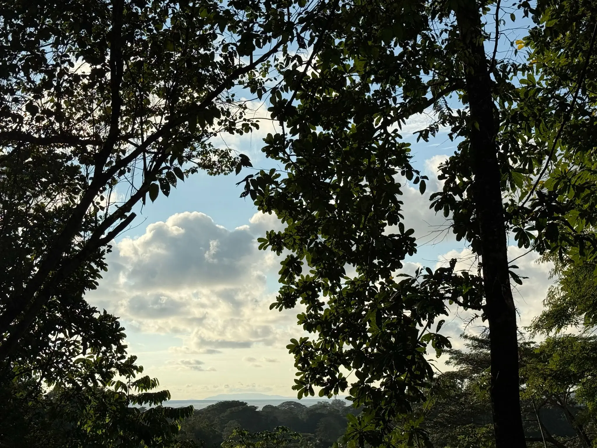 🌊 Luxury Tropical Investment: Ocean & Jungle View Lot with Approved Permits - image 4