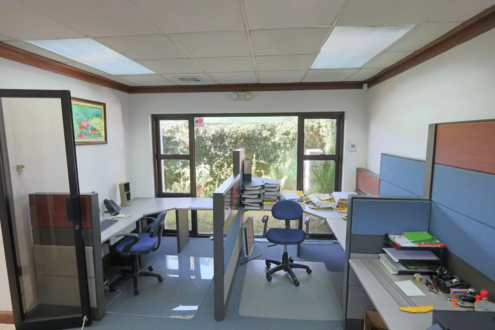 For Sale: 12-Office  Building in Prime in Los Anonos Escazú - image 11