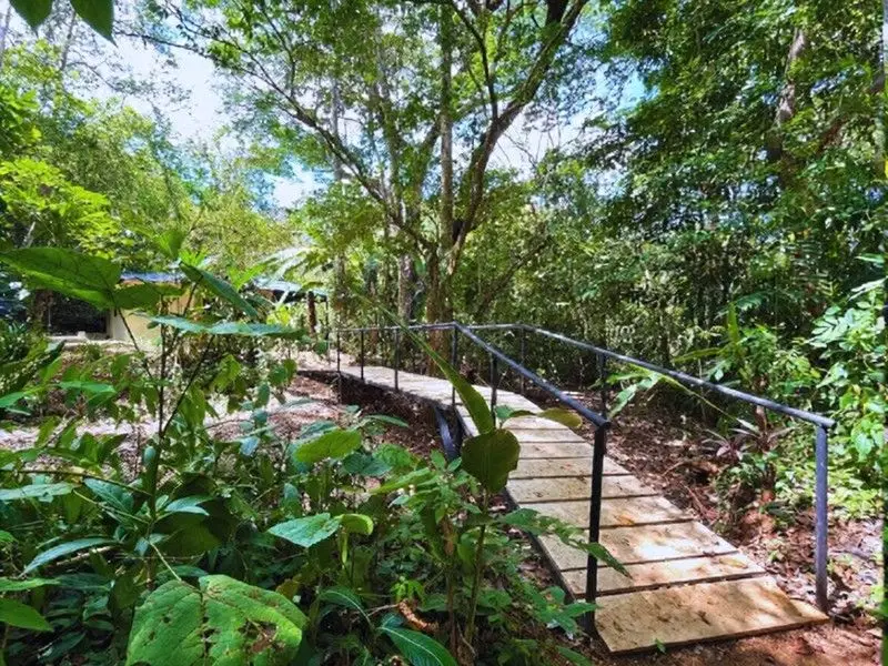 Private Sanctuary Between Jacó & Herradura: Peace & Nature, 10 Min from Everything - image 11