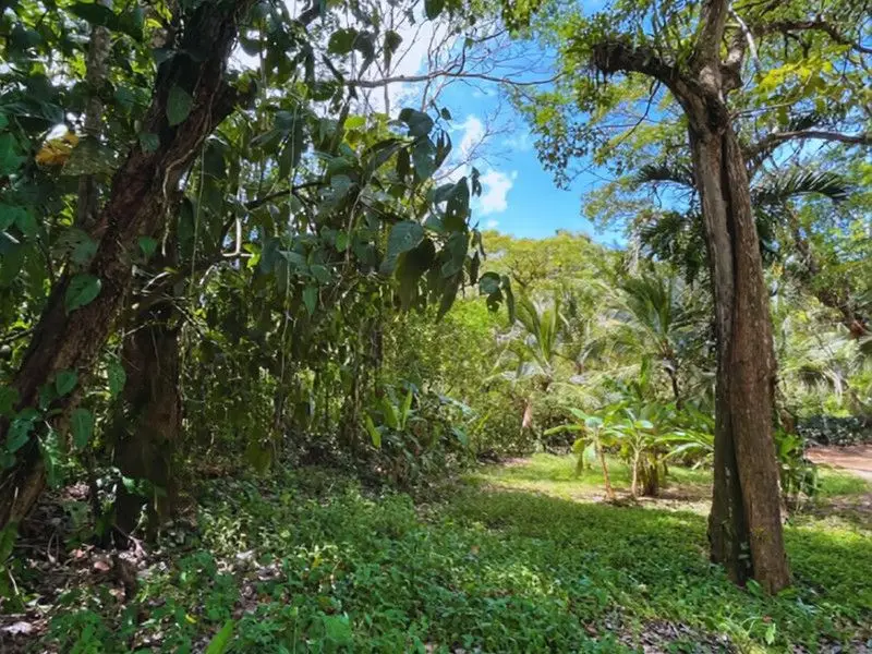 Private Sanctuary Between Jacó & Herradura: Peace & Nature, 10 Min from Everything - image 10