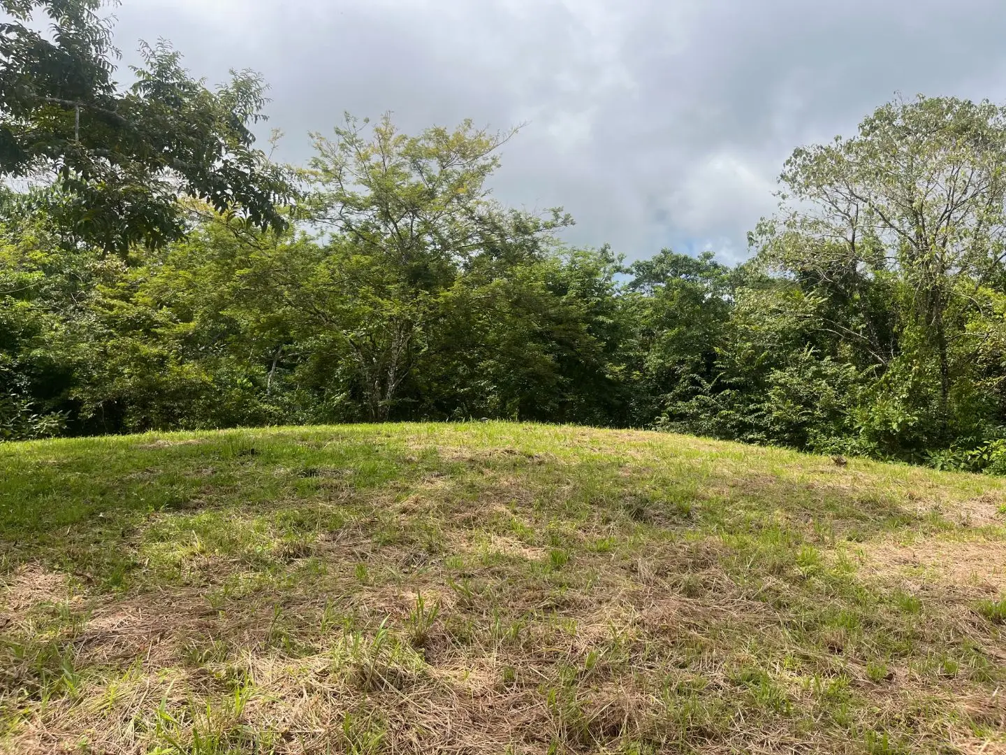 Beautiful Ready to Build Lot in Delicias,  Great Price with Project and Permits included - image 4