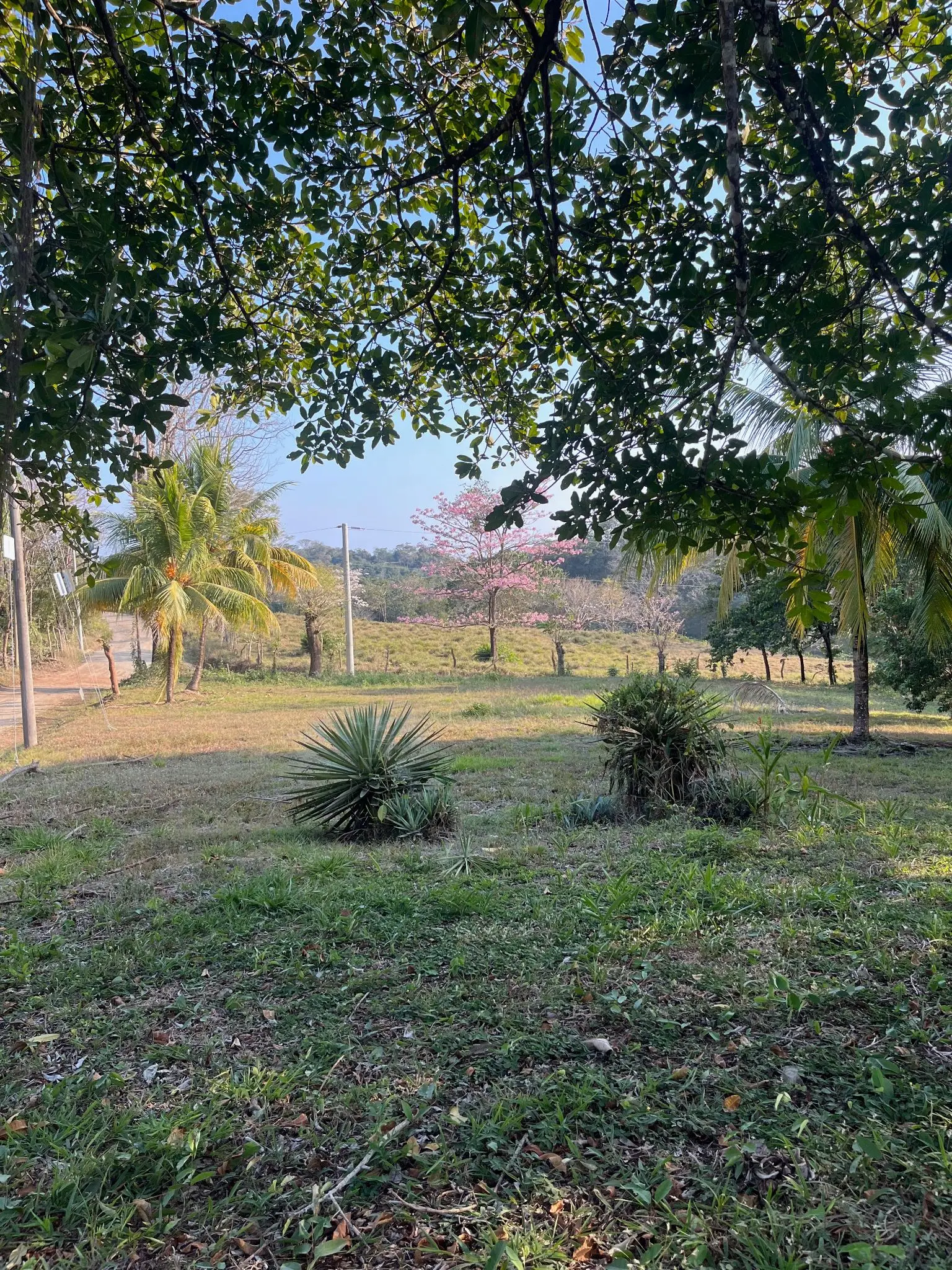 11,000 m² of Beautiful Land with Ocean View – Residential & Commercial Use in Santiago  - image 4