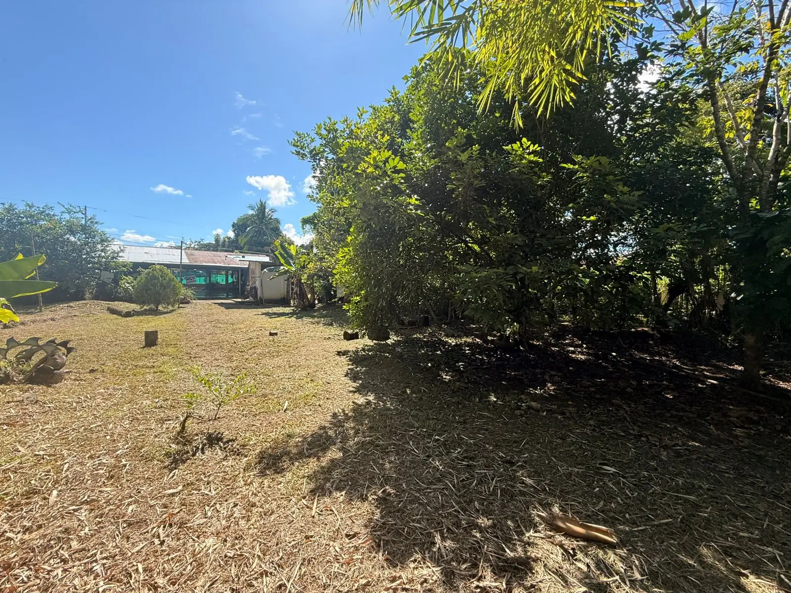 Incredible lot near the center - image 7