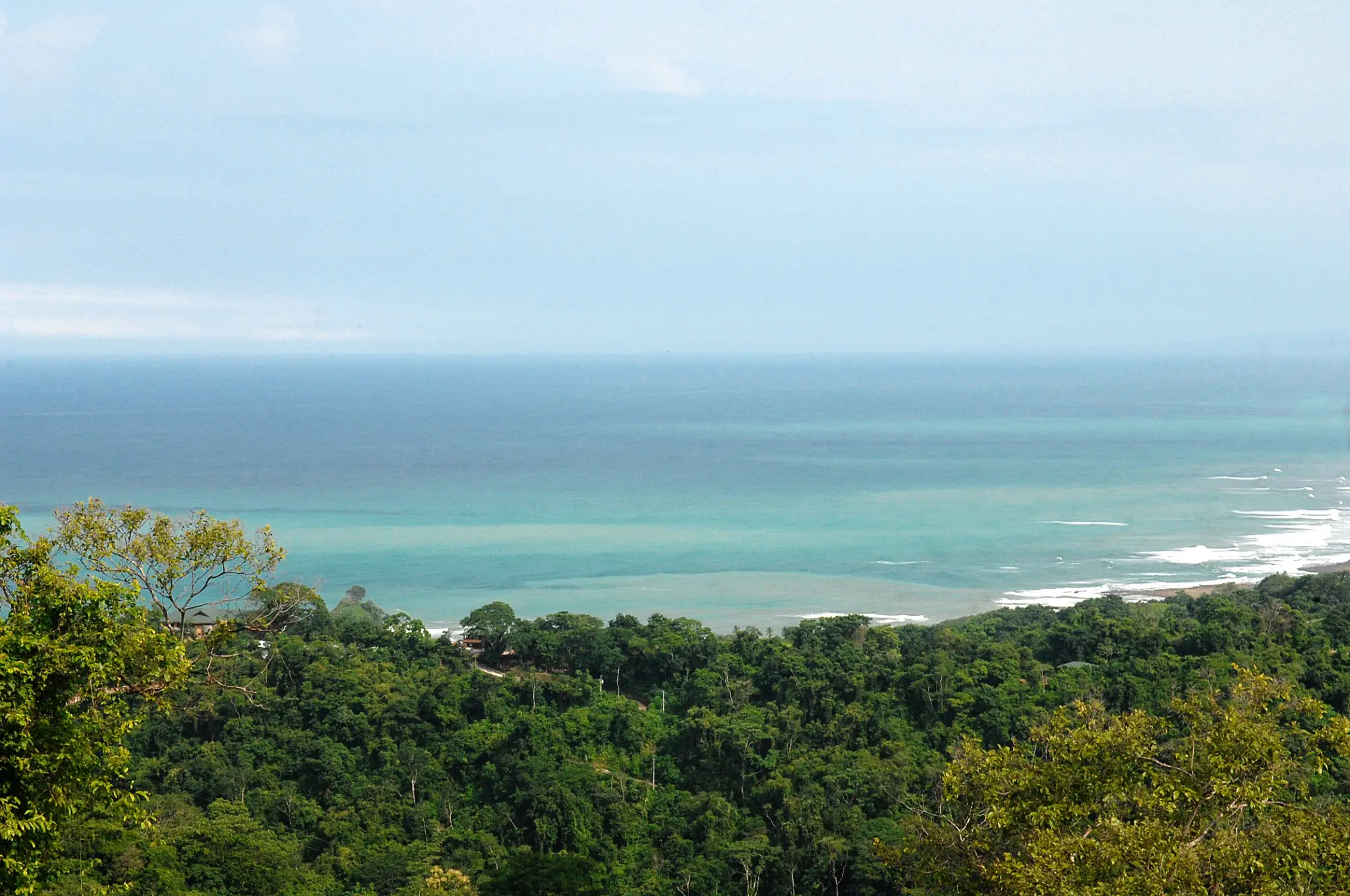 Nearly 90 Hectares of Untouched Jungle Beauty with Stunning Ocean Views, Steps from the Beach in Costa Rica’s Blue Zone. - image 8