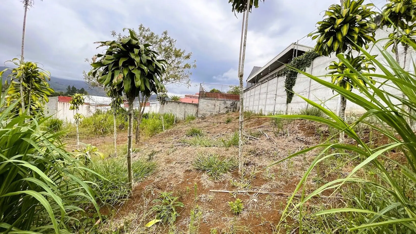 LOT FOR SALE IN SAN RAMON, ALAJUELA - image 6