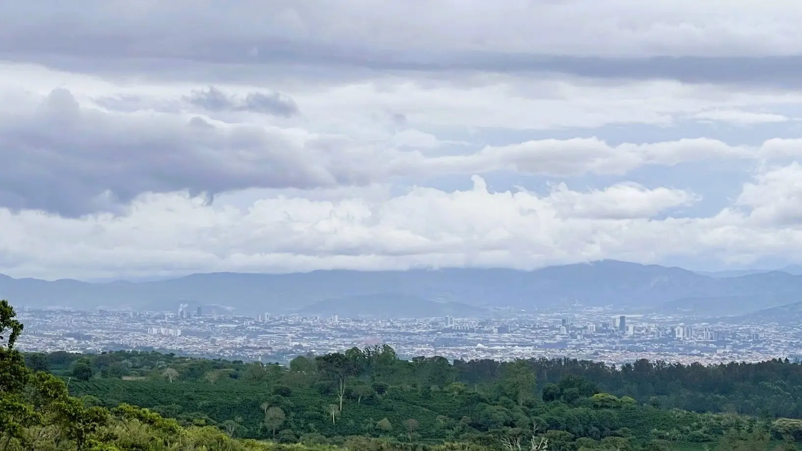 LAND WITH A HOUSE IN CARRIZAL, ALAJUELA - image 12