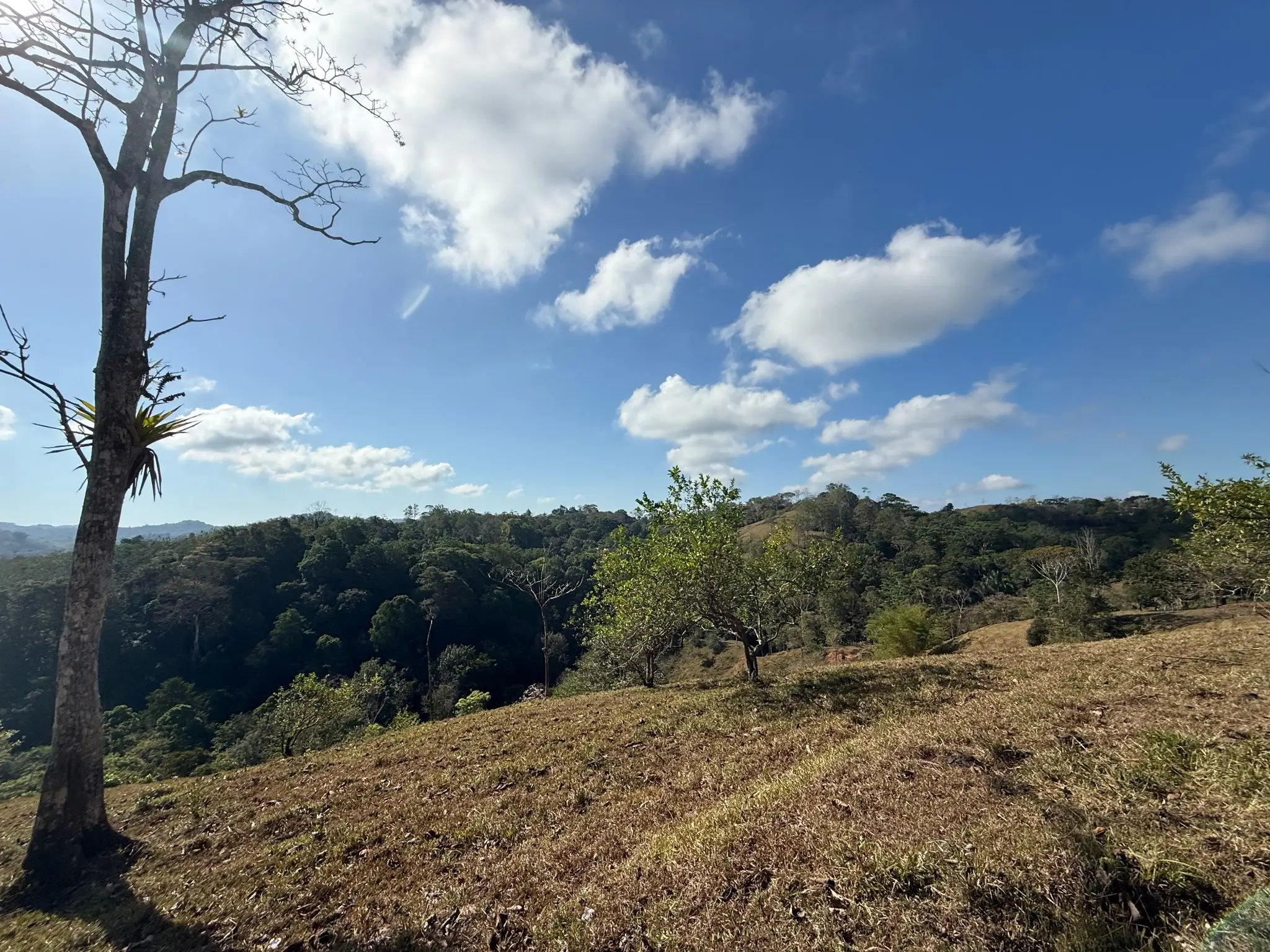 Eco-Luxury Mountain Santuary  11.48 Hectares of Pristine Paradise: Lush Forest, River & Farm Potential in Arenal Puriscal , San Jose  - image 9