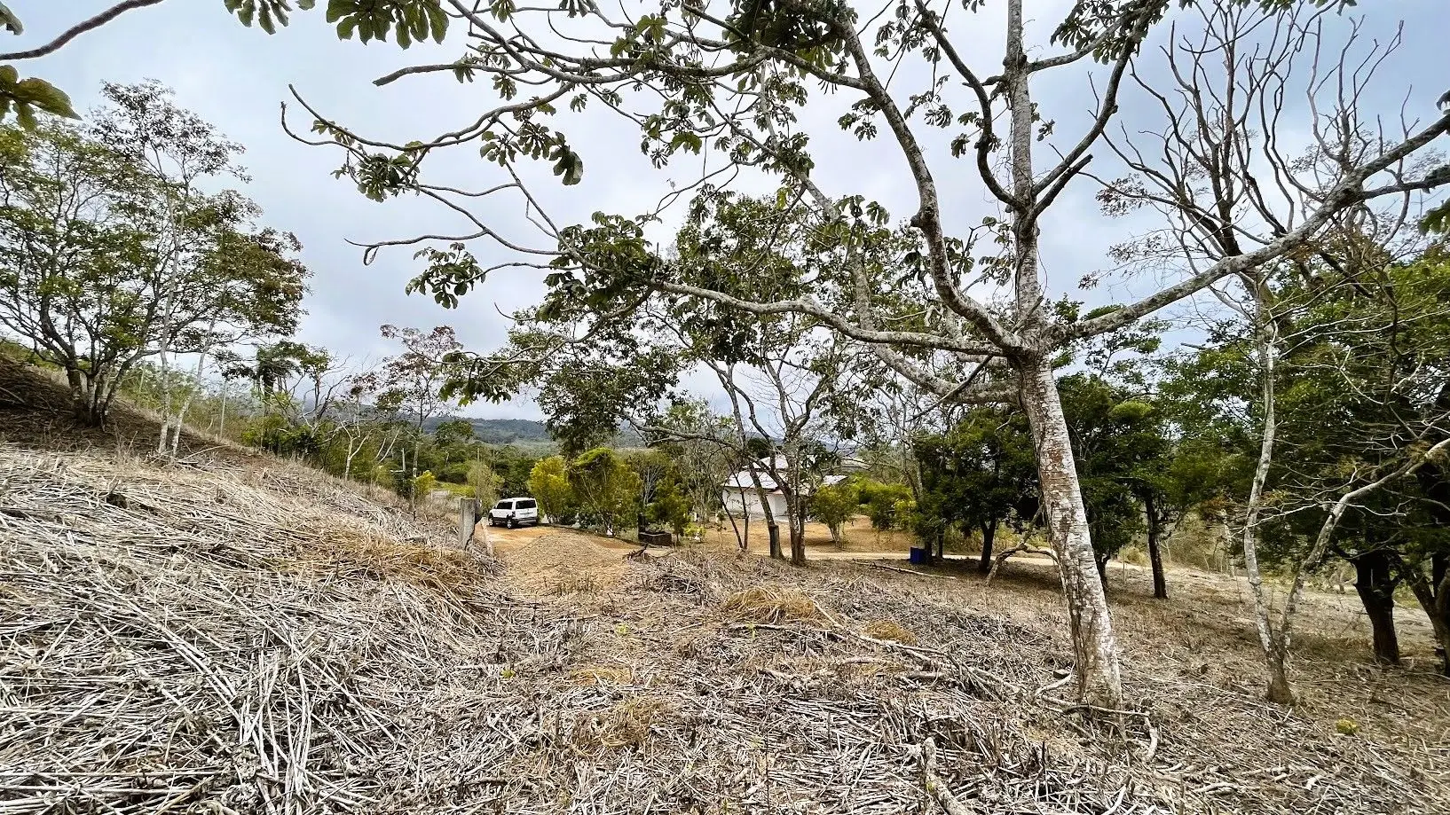 LAND FOR SALE IN SAN ISIDRO, SAN RAMON  - image 6