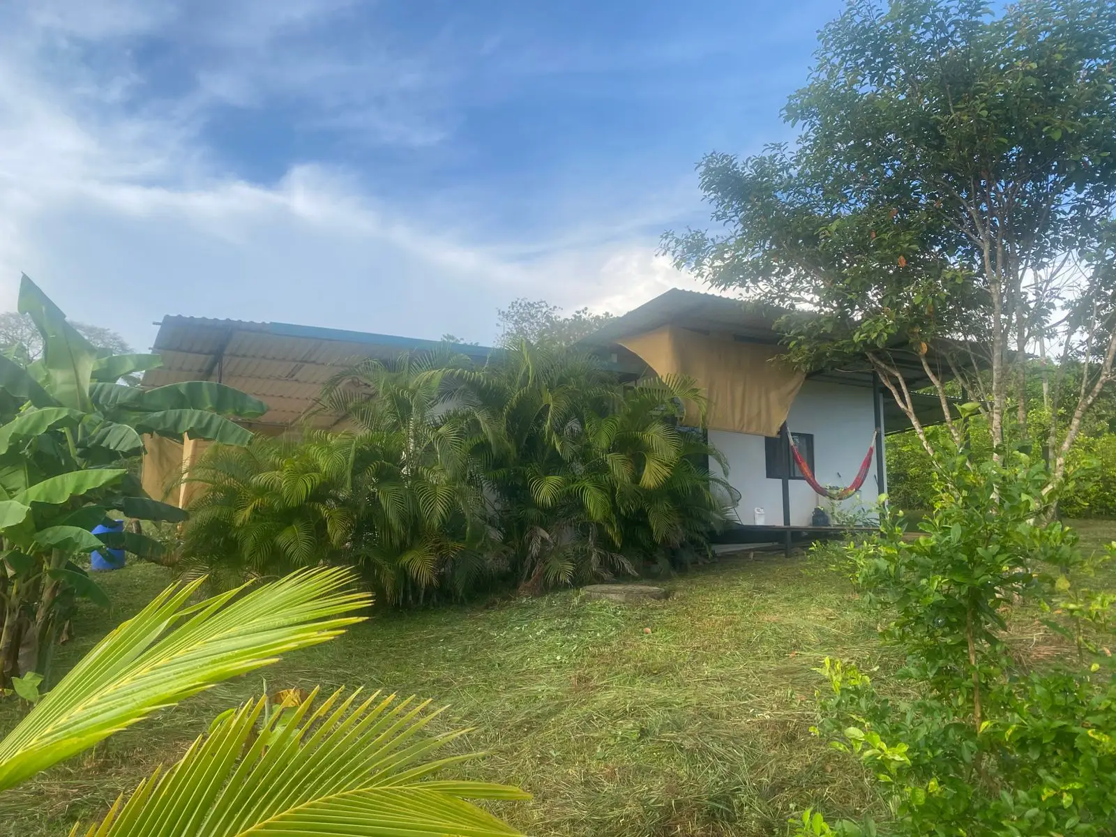 Two New Homes Near Santa Teresa - Income Property in Delicias  - image 1